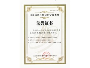 熱烈祝賀明碩環(huán)境集團獲得2021年度山東省循環(huán)經(jīng)濟科學技術(shù)獎二等獎